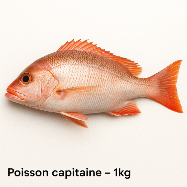 Poisson capitaine – 1kg