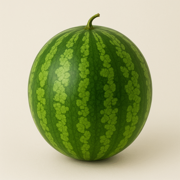 Pastèque – 1/2 pièce