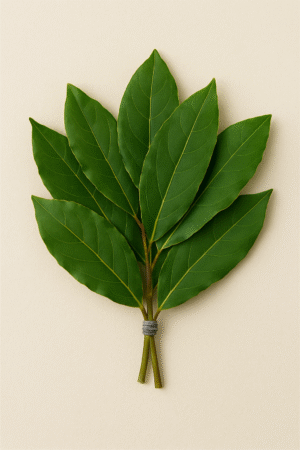 ChatGPT Image 7 mai 2025, 14_33_53 Feuilles de laurier – botte