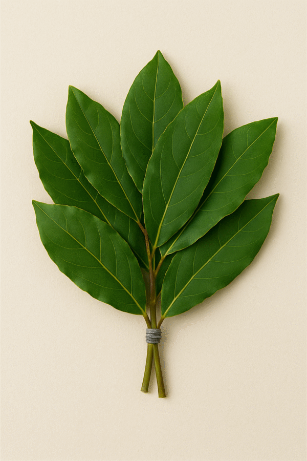 Feuilles de laurier – botte